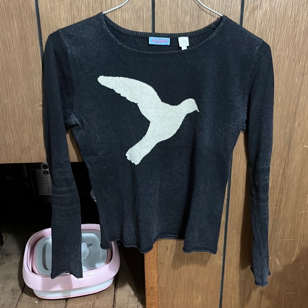 Acrobat silk and cashmere dove sweater